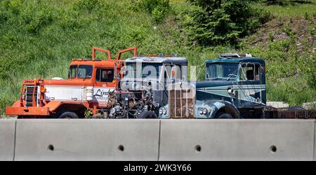 Nahaufnahme von drei verlassenen amerikanischen Truck-Taxis, die am 3. Juni 2023 in den Rocky Mountains, Alberta, Kanada, rosten Stockfoto