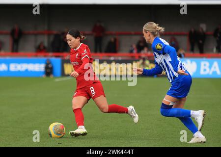 Crawley, Großbritannien. Februar 2024. Fuka Nagano von Liverpool Women dribbelte mit dem Ball während des FA Women's Super League-Spiels zwischen Brighton & Hove Albion Women und Liverpool Women im Broadfield Stadium in Crawley, England am 18. Februar 2024. Foto von Carlton Myrie. Nur redaktionelle Verwendung, Lizenz für kommerzielle Nutzung erforderlich. Keine Verwendung bei Wetten, Spielen oder Publikationen eines einzelnen Clubs/einer Liga/eines Spielers. Quelle: UK Sports Pics Ltd/Alamy Live News Stockfoto