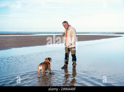 Fröhlicher Rentner mit englischen Bulldoggen, die mit den Hunden in der Mitte der Pfütze reden. Hundeausbildung. Glückliche Zeit und Reise mit Freunden, Hunden, fami Stockfoto