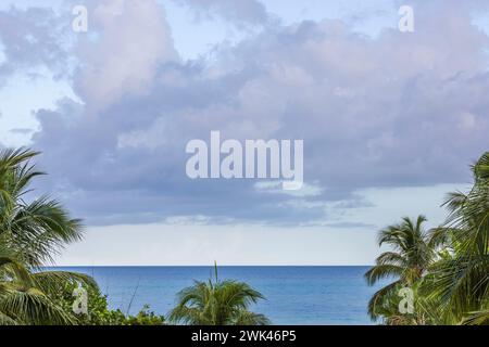 Atemberaubende Aussicht durch Kokospalmen auf das azurblaue Wasser des Atlantischen Ozeans. Miami Beach. USA. Stockfoto