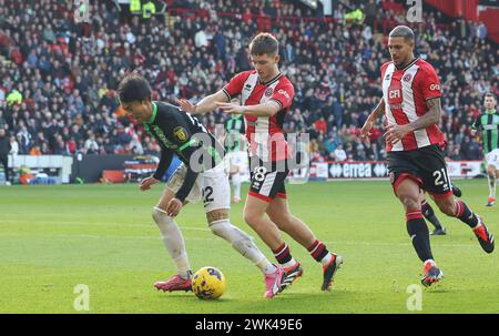 Bramall Lane, Sheffield, Großbritannien. Februar 2024. Premier League Football, Sheffield United gegen Brighton und Hove Albion; Kaoru Mitoma von Brighton & amp; Hove Albion stürzt auf den Boden, als er von James McAtee von Sheffield United herausgefordert wird Stockfoto