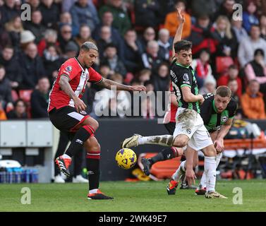 Bramall Lane, Sheffield, Großbritannien. Februar 2024. Premier League Football, Sheffield United gegen Brighton und Hove Albion; Vinicius Souza von Sheffield United übergibt den Ball unter Druck von Brighton &amp; Hove Albions Facundo Buonanotte und Adam Webster in der Nähe von Credit: Action Plus Sports/Alamy Live News Stockfoto