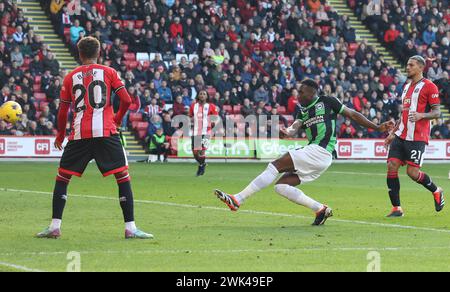 Bramall Lane, Sheffield, Großbritannien. Februar 2024. Premier League Football, Sheffield United gegen Brighton und Hove Albion; Brighton &amp; Hove Albions Danny Welbeck erzielt in der 24. Minute das zweite Tor seiner Mannschaft und erzielte 0-2 Credit: Action Plus Sports/Alamy Live News Stockfoto