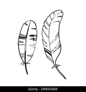 Vektorrahmen von Hand gezeichneter Vogelfeder mit Flecken, farbige monochrome Illustration der Feder, Schwarzweiß Skizze isoliert auf weißem Hintergrund, für Stock Vektor