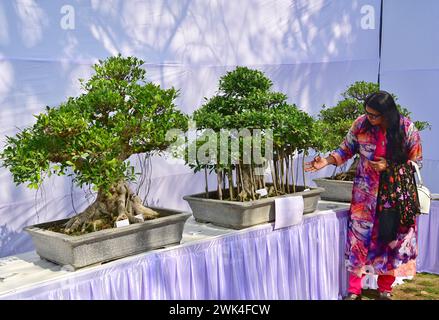 NEW DELHI, INDIEN - 18. FEBRUAR: Besucher machen Selfies und Fotos mit Bonsai und Blumen während des „36. Garden Tourism Festival“, das Delhi Tourism in Zusammenarbeit mit der Delhi Regierung am 18. Februar 2024 im Garden of Five Senses in Neu-Delhi, Indien, organisiert hat. Das Thema des 36. Gartentourismus-Festivals ist „die Erde lacht in Blumen“. Mit dem Frühling verwandelt sich die Erde in ein fesselndes Spektakel. Das Festival bietet einen Wettbewerb in 32 Pflanzenkategorien, bei dem ein breites Spektrum von Kakteen über Dahlien, Lilien, Rosen, Chrysanthemen, Topfpflanzen, und vieles mehr. Die DIST Stockfoto