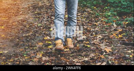 Herbstwandern durch hohes Gras im Wald. Nahaufnahme des Waldes Stockfoto