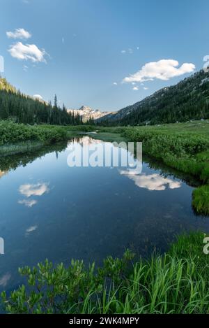 East Fk. Der Lostine River fließt durch eine Wiese in der Eagle Cap Wilderness, Oregon. Stockfoto