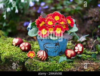 Wunderschöne osterfloristische Arrangements mit gelben, orangen Primula-Blüten in einem alten alten türkisfarbenen Topf mit „Gartenwürze“ darauf. Rustikales Wohndekor Stockfoto