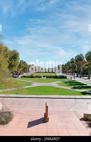 Blick nach Osten in Richtung Battleship Arizona Memorial auf dem Campus der University of Arizona in Tucson Stockfoto