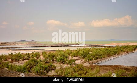 Danakil-Depression.Salzflächen nahe dem Afdera-See in der Region Afar Stockfoto