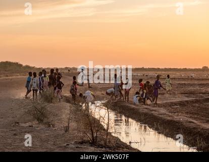 Afrika, Senegal, in der Nähe von Podor. Dorf Fenaye Dualo am Fluss Senegal in der Sahelregion. Ein Bewässerungskanal. Stockfoto