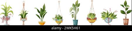 Zimmerpflanzen- und Makramee-Pflanzen, die in Töpfen wachsen. Set von handgemachten Hausdekorationen Makramee Pflanzen isoliert auf weißem Hintergrund. Zeichentrickgrafik. Stock Vektor