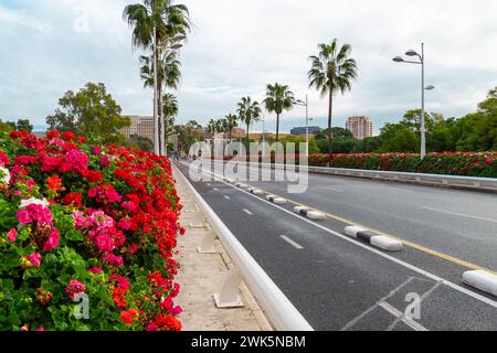 Eine leere Asphaltstraße mit Blumen und Palmen. Panorama der Brücke Puente de Las Flores in Valencia, Spanien Stockfoto