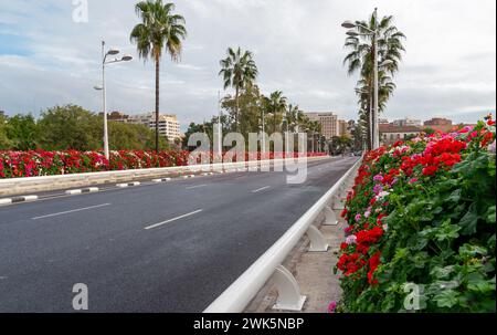 Eine leere Asphaltstraße mit Blumen und Palmen. Panorama der Brücke Puente de Las Flores in Valencia, Spanien Stockfoto