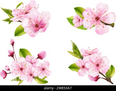 Realistisches Sakura-Bouquet. 3d Blüte japanische Kirsche weiche Blumen für Hanami Festival oder chinesische Frühlingssaison, rosa Blumenknospen Vektor Illustration des Blütenstraußes, Kirschblüte Blume Stock Vektor