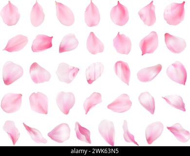 3D-Sakura-Blüten. Realistische Blütenkirsche oder echte rosa Blütenblatt Nahaufnahme, Frühling fallende Duft Blumen in Pastell Aquarell Verlauf, valentinblüte genaue Vektor Illustration von Sakura Blume Rosa Stock Vektor