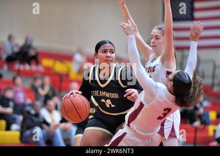 Illinois, USA. Während der Fahrt entlang der Baseline kommt ein Spieler mit einem Verteidiger in Kontakt, der sie zum Boden schickt. Stockfoto