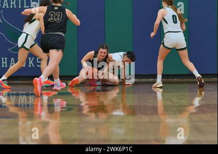 Illinois, USA: Konkurrierende Spieler kämpfen auf dem Boden um den Besitz des Basketballs. Stockfoto