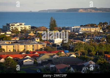 Blick über Orwa Stadt zum Pazifik, Orewa, Auckland, Nordinsel, Neuseeland Stockfoto