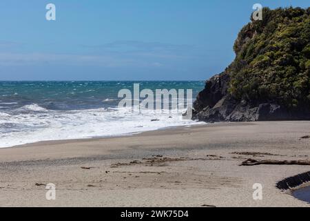 Ship Creek, Neuseeland Stockfoto