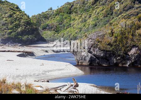 Ship Creek, Neuseeland Stockfoto