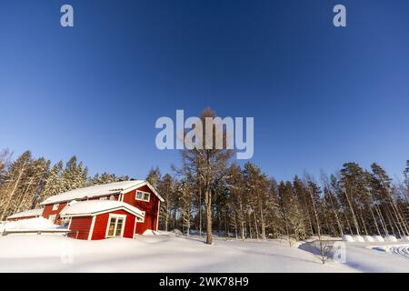 Ambiente während der Rallye Sweden 2024, 2. Runde der WRC World Rallye Car Championship 2024, vom 15. Bis 18. Februar 2024 in Umea, Schweden Stockfoto