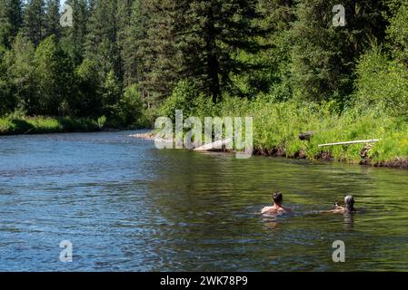 Paare schwimmen im Minam River, Wallowa Mountains, Oregon. Stockfoto