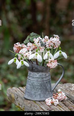 Strauß aus Schneeglöckchen und Blumen von duftendem Viburnum in einem alten Krug im Garten Stockfoto