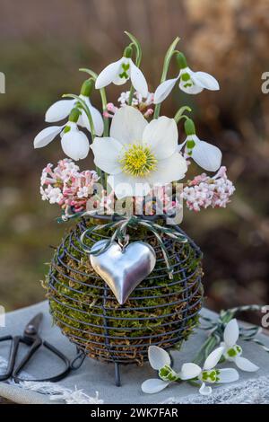 Strauß von helleborus niger, Schneeglöckchen und Blüten von duftendem Viburnum im Eierkorb Stockfoto