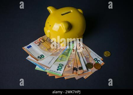 Schweinebank auf einem Stapel Euro-Geld auf schwarzem Hintergrund. Stockfoto