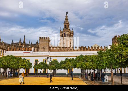 Sevilla, Andalusien, Spanien - 23. Oktober 2023: Turm La Giralda der Kathedrale von Sevilla und Mauer des Königlichen Palastes von Alcazar vom Platz Patio de Banderas, Stadt Stockfoto