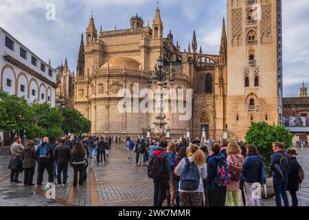 Sevilla, Andalusien, Spanien - 23. Oktober 2023: Menschen in der Kathedrale von Sevilla, Gruppe von Touristen auf dem Platz Virgen de los Reyes, Wahrzeichen der Stadt. Stockfoto