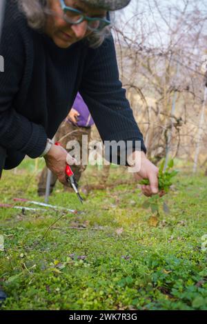 Grüne Pflanze in ihren Händen, die sie vorsichtig hüllen. Die Hände der Person stützen sanft den Pflanzenstamm und die Blätter, was eine Verbindung zur Natur zeigt Stockfoto