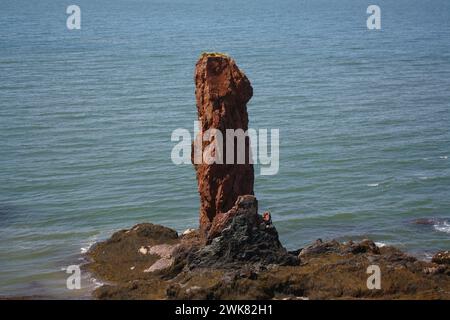 Ein hoher Felsen am Ufer vor dem Hintergrund des Meeres Stockfoto