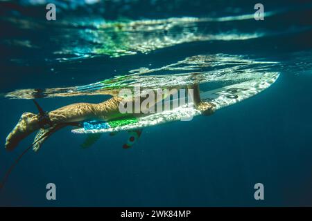 Unterwasseransicht Einer Surferin, die auf Eine Welle auf ihrem Surfbrett wartet Stockfoto