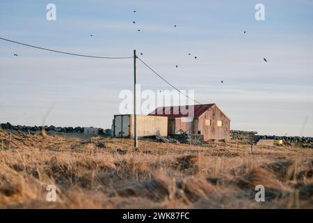 Ländliches Haus auf dem Feld mit trockenen Gräsern auf dem Land Stockfoto