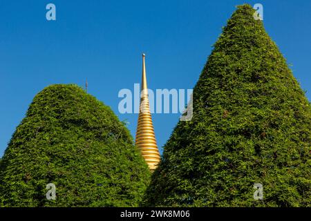 Goldener Turm des Phra Sri Rattana Chedi zwischen geformten Bäumen im Grand Palace Komplex in Bangkok, Thailand. Stockfoto