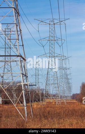 Im Unterholz eines Waldes stehend, liefern Hochspannungs-Strommasten Strom in den Horizont. Stockfoto