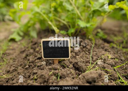 Schwarze leere Reklametafel vor grüner Feldlandschaft. Leere Modellvorlage. Tafelaufkleber auf dem Bauernhof. Stockfoto