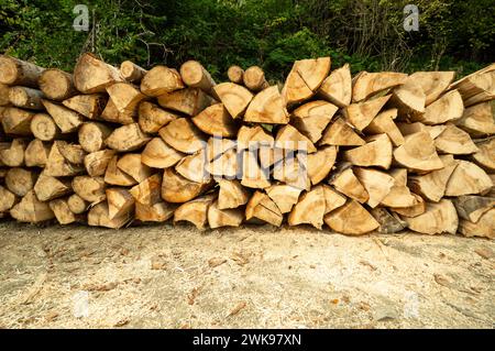 Holzhaufen. Frisch geschnittene Holzscheite im Wald gestapelt. Brennholz, Umweltschäden, ökologische Probleme, Entwaldung, alternative Energie, Lumbe Stockfoto
