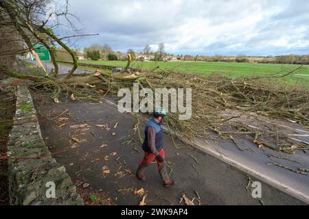 Die A417 (A435) in Cirencester ist komplett blockiert und kauft einen gefallenen Baum, der bei starken Winden vom Sturm Pia heruntergeworfen wurde. Ein kleiner Vauxhall-Wagen wurde unter den äußeren Ästen des Baumes gefangen, die Insassen sollen in Ordnung sein. Stockfoto