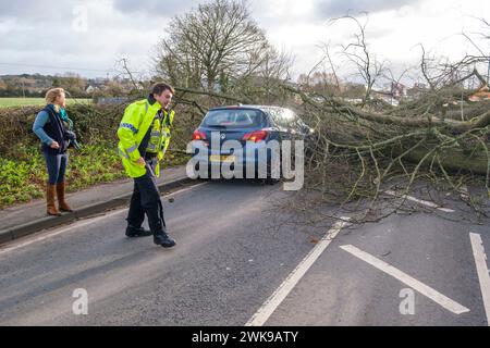 Die A417 (A435) in Cirencester ist komplett blockiert und kauft einen gefallenen Baum, der bei starken Winden vom Sturm Pia heruntergeworfen wurde. Ein kleiner Vauxhall-Wagen wurde unter den äußeren Ästen des Baumes gefangen, die Insassen sollen in Ordnung sein. Stockfoto