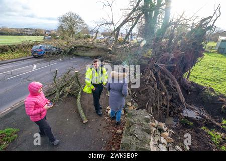 Die A417 (A435) in Cirencester ist komplett blockiert und kauft einen gefallenen Baum, der bei starken Winden vom Sturm Pia heruntergeworfen wurde. Ein kleiner Vauxhall-Wagen wurde unter den äußeren Ästen des Baumes gefangen, die Insassen sollen in Ordnung sein. Stockfoto