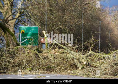 Die A417 (A435) in Cirencester ist komplett blockiert und kauft einen gefallenen Baum, der bei starken Winden vom Sturm Pia heruntergeworfen wurde. Ein kleiner Vauxhall-Wagen wurde unter den äußeren Ästen des Baumes gefangen, die Insassen sollen in Ordnung sein. Stockfoto