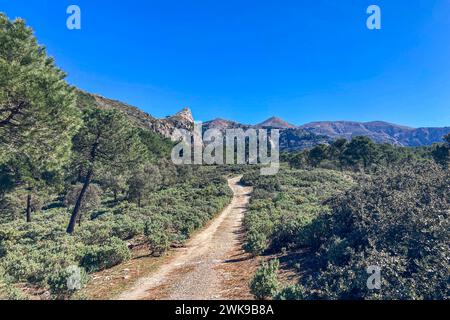 Panoramablick auf dem Wanderweg zum Gipfel Maroma, Sierra Tejeda, Spanien Stockfoto