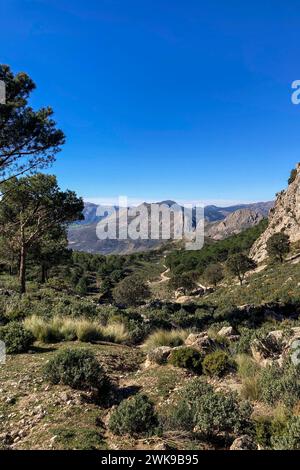 Panoramablick auf dem Wanderweg zum Gipfel Maroma, Sierra Tejeda, Spanien Stockfoto