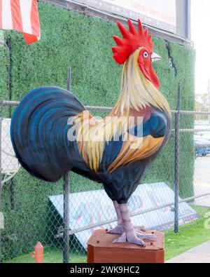 Miami FL - USA - 10. Februar 2024 Eine riesige Hahnstatue, die Fiberglas-Statuen sind überall in Little Havannas Calle Ocho zu finden und ist Teil des „Roost“ Stockfoto