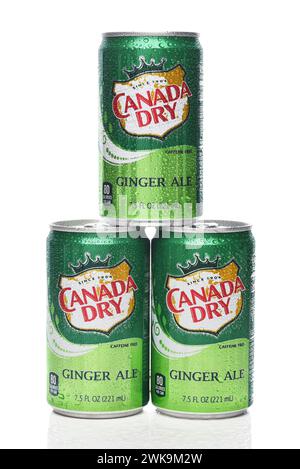 IRVINE, KALIFORNIEN, 18. Februar 2024: Ein Stapel von drei Minidosen Canada Dry Ginger Ale mit Kondensation. Stockfoto