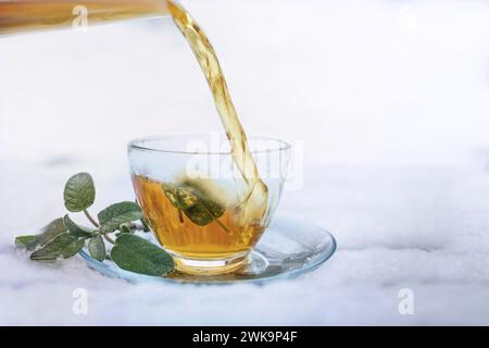 Heißer Salbeitee wird in einer Glasschale mit einigen Blättern gegossen, die draußen im weißen Schnee stehen, Kräutermedizin und Hausmittel gegen Grippe und Kälte in Th Stockfoto