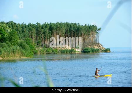 Bewaldete Landzunge, Leute, die sich sonnen und auf sup Boards auf dem Wasser des großen Flusses reiten. Juli 2021. Pereyaslaw-Chmelnyzki, Ukraine Stockfoto